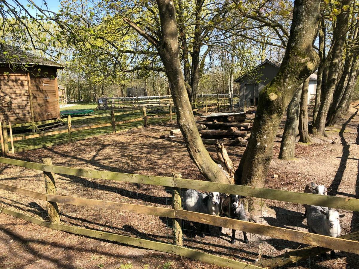 Hestkaer Family Rooms Summer Camp Krogager Exterior photo